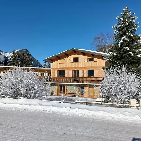 Rez-de-jardin Ensoleille, 3 Pieces, Proche Centre Et Pistes, Animaux Acceptes - Fr-1-464-206