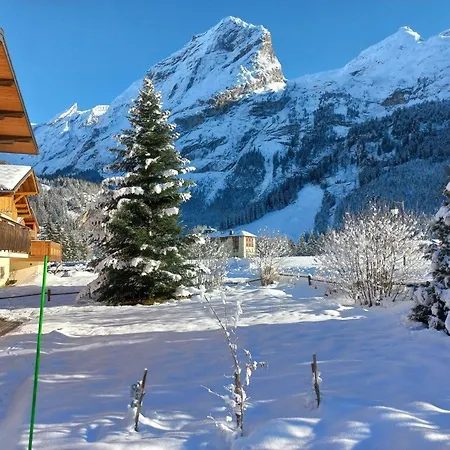 Rez-de-jardin Ensoleille, 3 Pieces, Proche Centre Et Pistes, Animaux Acceptes - Fr-1-464-206 Pralognan-la-Vanoise